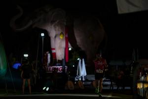 BIB: 
                            <button type="button" onclick="openModal(26530669)" class="btn btn-primary btn-sm float-right btn-popup" data-toggle="modal" data-target=".modal-high-quality">
                        <i class="fas fa-shopping-cart"></i> Add to Cart
                    </button>
                                            <button type="button" onclick="isThisMe(26530669, true)" class="btn btn-success btn-sm float-right btn-popup btn-isme hidden" data-toggle="tooltip" data-placement="bottom" title="นี่คือรูปของคุณใช่ไหม คลิกที่นี่เพื่อเอาเข้าอัลบั้ม">
                        <i class="fas fa-plus"></i> Add to album
                    </button>
                    <button type="button" onclick="isThisMe(26530669, false)" class="btn btn-warning btn-sm float-right btn-popup btn-isnotme hidden">
                        <i class="fas fa-ban"></i> Remove from album
                    </button>